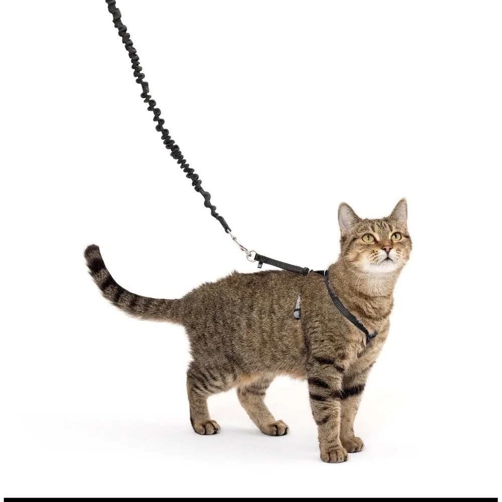PetSafe nwot come